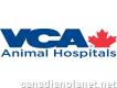 Vca Canada Highlands Animal Hospital