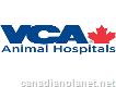 Vca Canada Lakeview Animal Hospital
