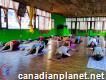 Chandra Yoga offers Yoga Alliance Usa 300 hours certified yoga courses in Rishikesh