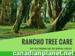 Best Emergency Tree Care Services in Rancho Cucamonga