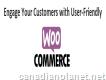Engage Your Customers with User-friendly Woocommerce Websites Developed By Ids Logic