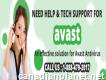 Avast Tech Support