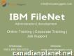 Ibm Filenet Development Training