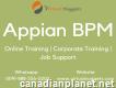 Appian Bpm Online Training Institution