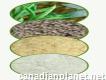 Guar Gum Supplier and Exporters @