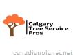 Tree Service Calgary