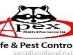 Apex wildlife and pest control
