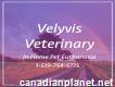 Velyvis Veterinary