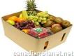 Wholesale fruit and vegetable suppliers	