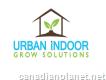 Urban Indoor Grow Solutions