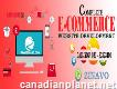 E-commerce Website Design and Development Company in Toronto