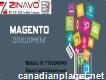 Magento 2 Website Development Company in Alberta