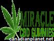 Buy Chill Gummies From Miracle Cbd Gummies