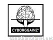 Calisthenics Online Coaching Bodyweight Strength Training Program Cyborggainz