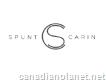 Spunt & Carin - Family Law Firm in Montreal