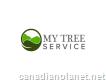My Tree Service