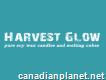 Buy Cheap Jar Soy Candles Online Usa - Harvest Glow Candles