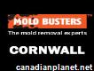 Mold Busters Cornwall