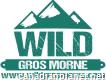 Wild Gros Morne