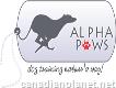 Alpha Paws - Puppy Training & Aggressive Dog Training