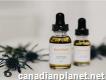 Buy Best-selling Hemp Products 100% Natural & Made in Canada