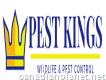 Pest Kings Wildlife & Pest Control Bradford