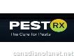 Pest-rx