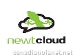 Newt Cloud - Business Phone Systems