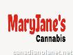 Maryjane's Weed Dispensary North York