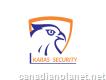 Professional Security Services