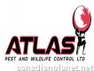 Atlas Pest And Wildlife Control Ltd