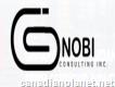 Gnobi Consulting Inc.