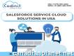 Salesforce Service Cloud Solutions in Usa - Codini
