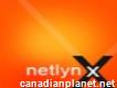 Netlynx: Your partner for developing your virtual store, Hire our Shopify developer