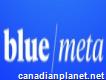 Blue Meta Measurable Marketing