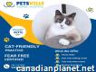 Petsville Animal Hospital - Cat Friendly Practice