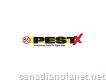 Simcoe Pestx - Pest Control & Exterminator