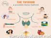 Want to heal Thyroid: Book Free consultation Now !