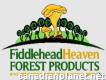 Fiddlehead Heaven