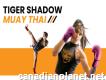 Tiger Shadow Muay Thai (boxe thai/kickboxing)