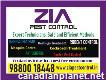 Cockroach Treatment Service Price from Rs. 1200/-