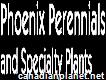 Phoenix Perennials & Specialty Plants